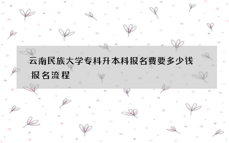 云南民族大学专科升本科报名费要多少钱 报名流程